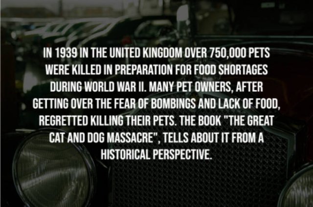 The Frightening Truth (14 pics)