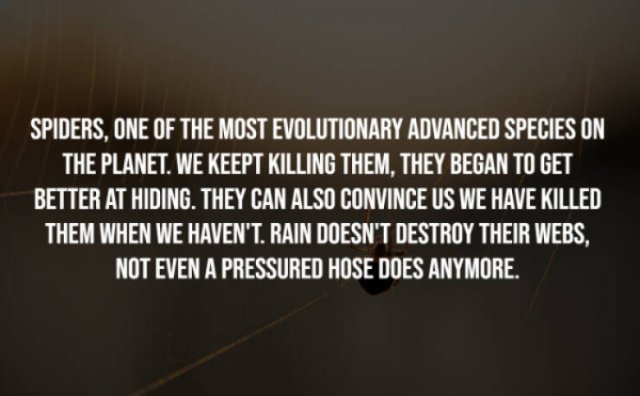 The Frightening Truth (14 pics)