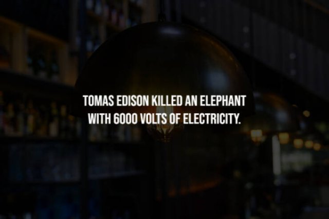 The Frightening Truth (14 pics)