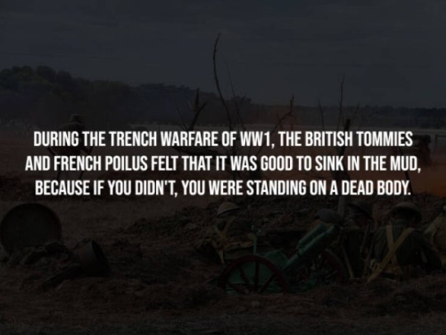 The Frightening Truth (14 pics)
