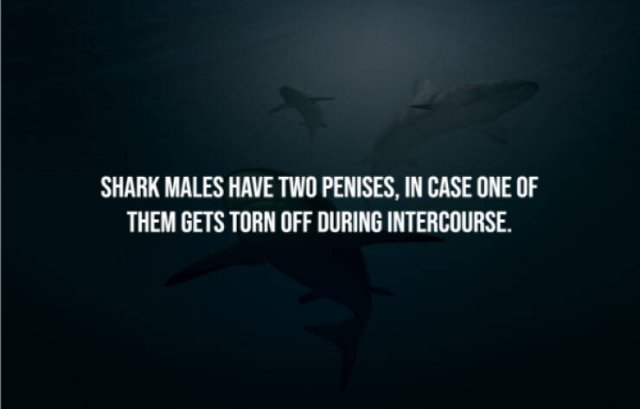 The Frightening Truth (14 pics)