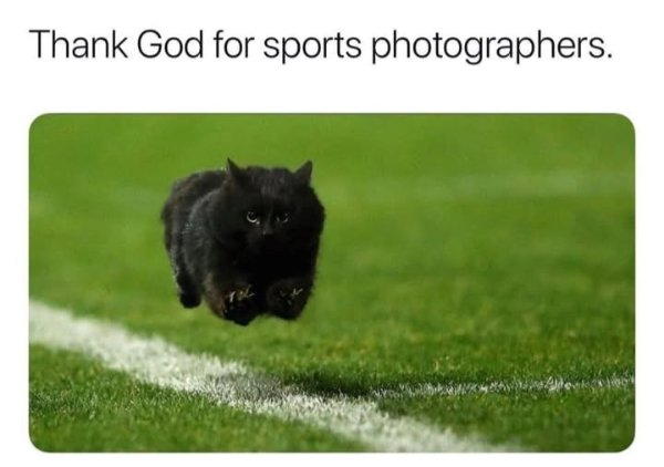 Life Is Beautiful (28 pics)
