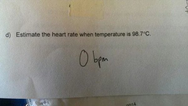 Funny Memes (25 pics)