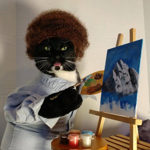 Photos For Cat Fans (37 pics)