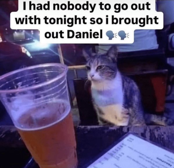 Photos For Cat Fans (37 pics)