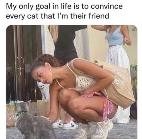 Life Is Beautiful (28 pics)