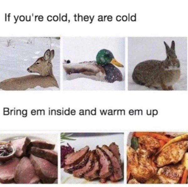 Funny Memes (25 pics)