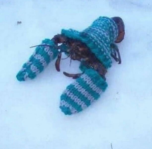 Strange Photos From Around The World (22 pics)