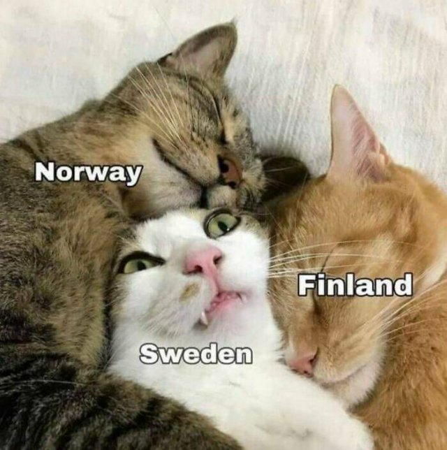 Interesting Maps (24 pics)