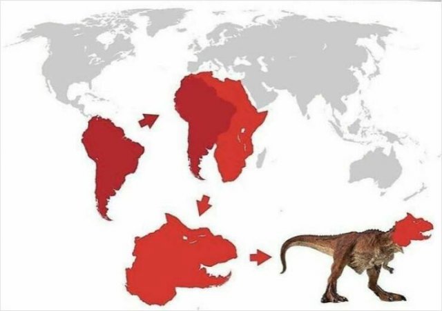 Interesting Maps (24 pics)