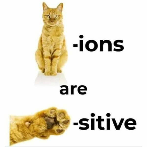 Science Jokes (23 pics)