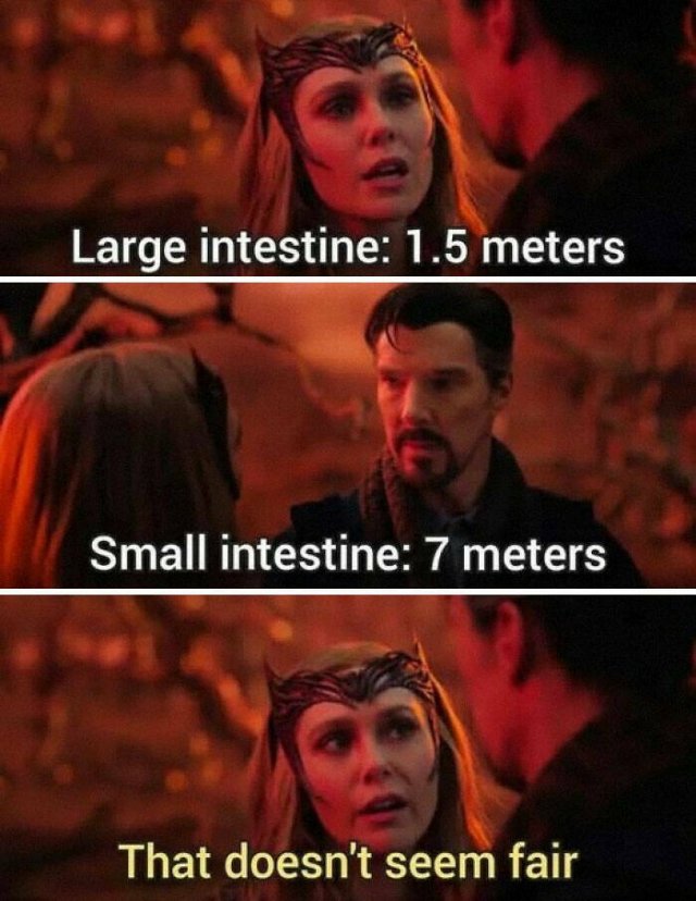 Science Jokes (23 pics)