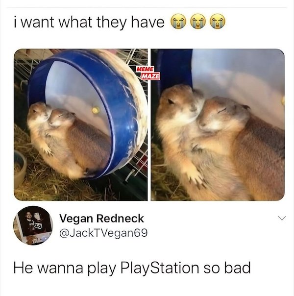 Random Memes (29 pics)