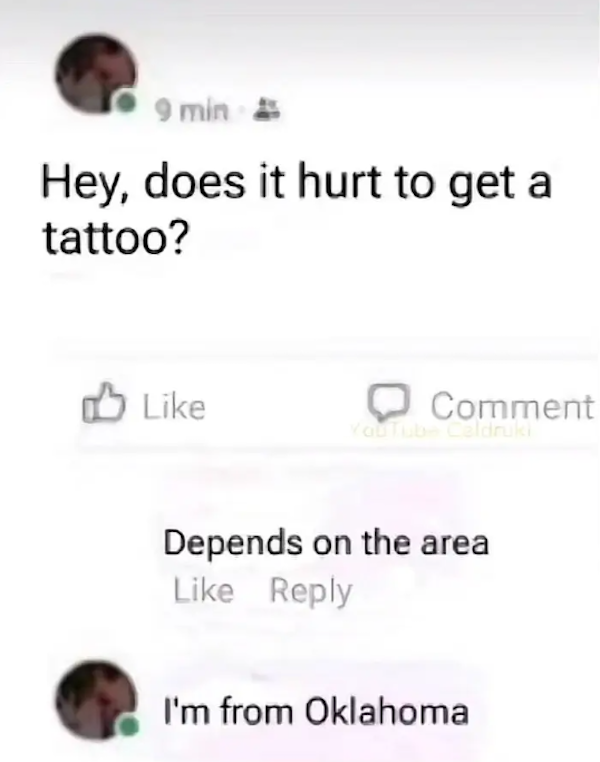 Not Very Smart People (20 pics)