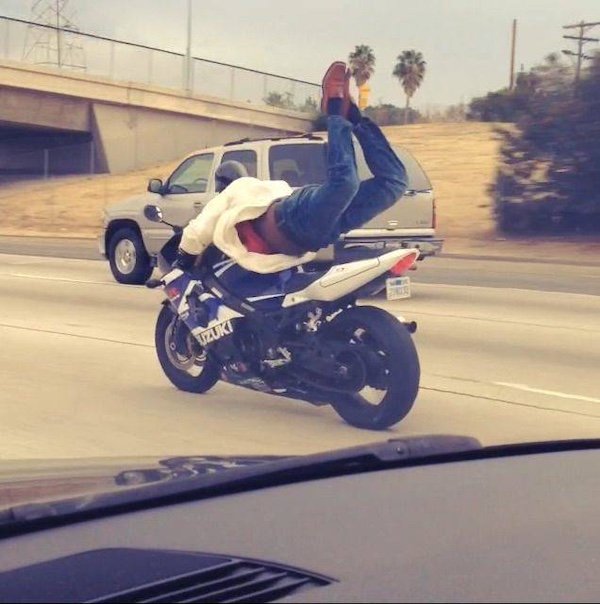 Not Very Smart People (20 pics)