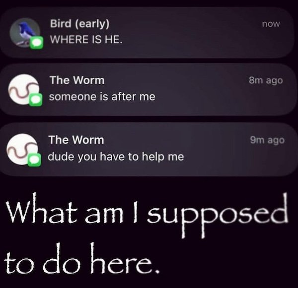 Random Memes (29 pics)