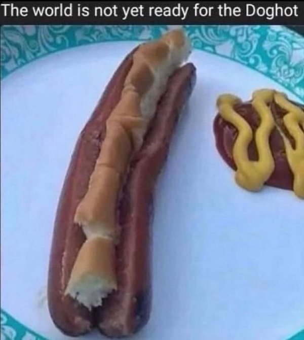 Random Memes (29 pics)