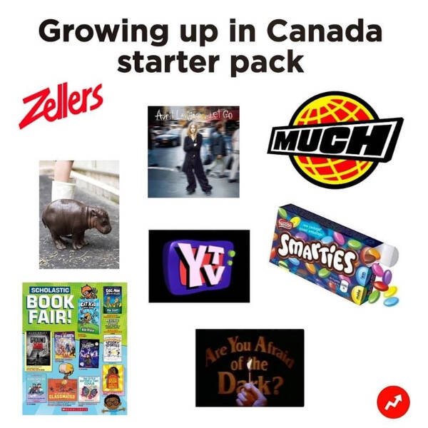 Memes About Canada (38 pics)