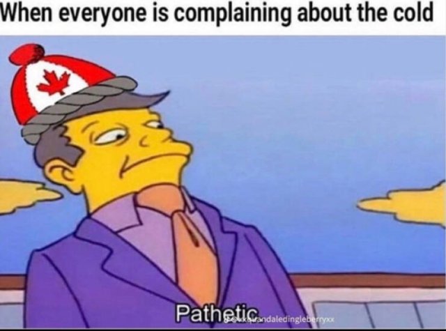 Memes About Canada (38 pics)