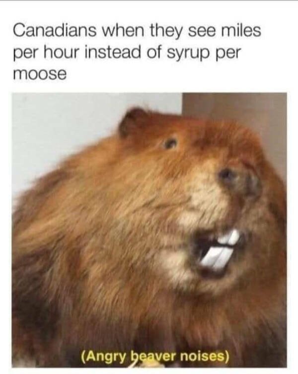 Memes About Canada (38 pics)