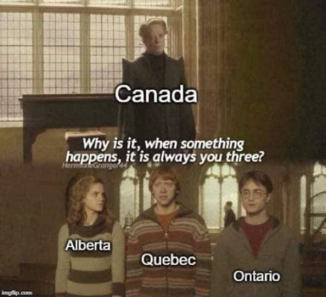 Memes About Canada (38 pics)