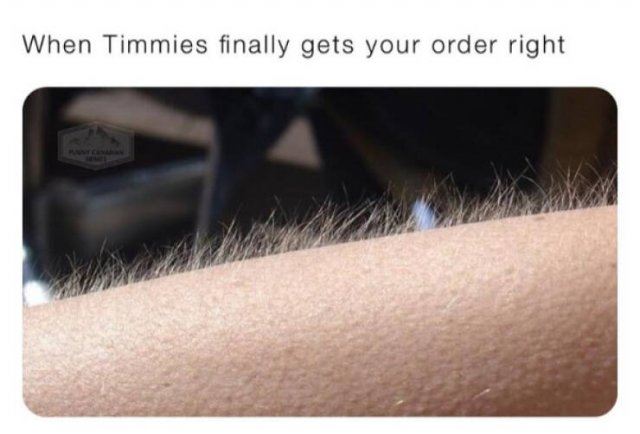 Memes About Canada (38 pics)