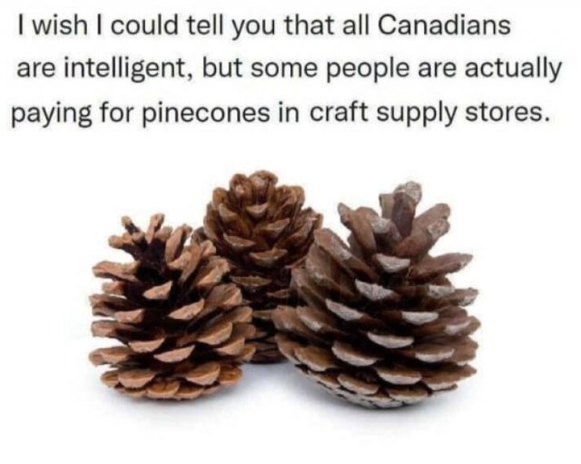 Memes About Canada (38 pics)