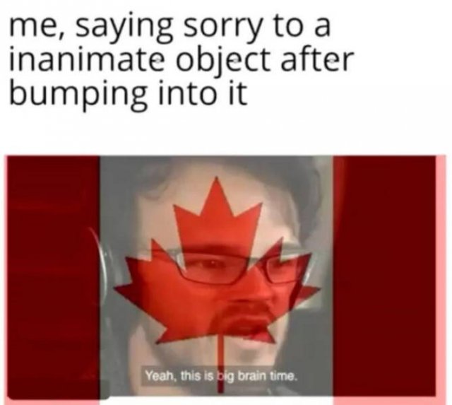 Memes About Canada (38 pics)