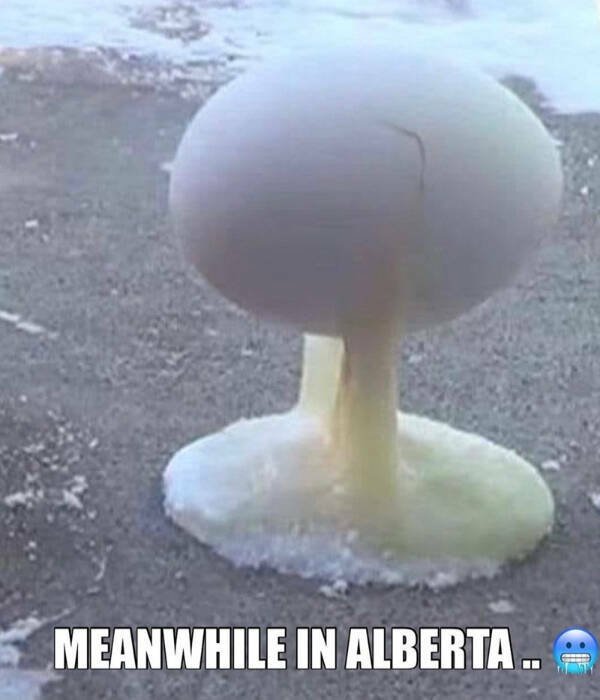 Memes About Canada (38 pics)