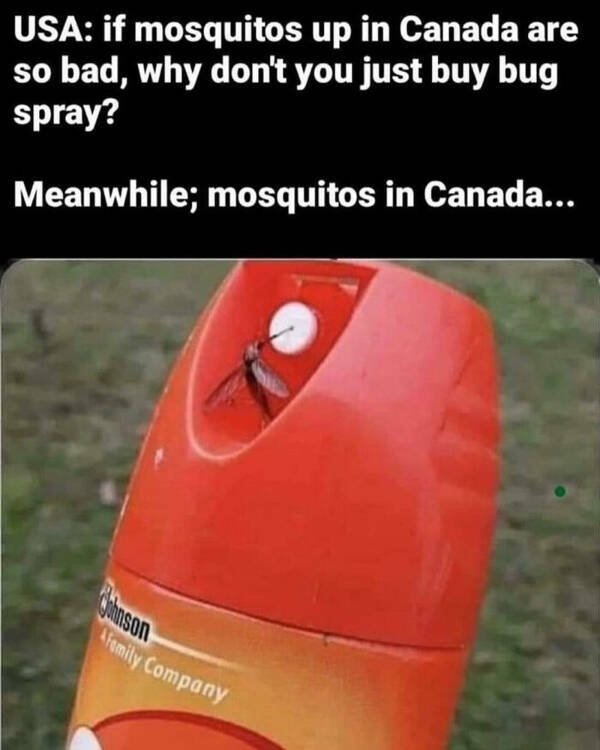 Memes About Canada (38 pics)