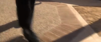 Annoying Sounds (17 gifs) Annoying Sounds (17 gifs)
