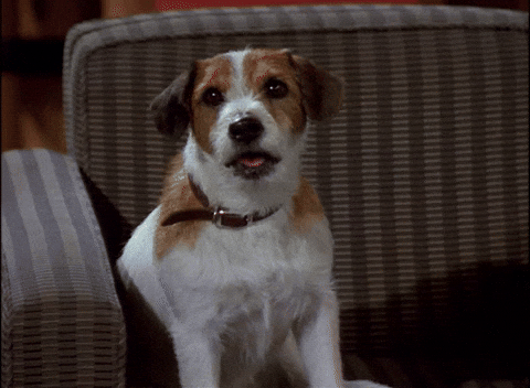 Annoying Sounds (17 gifs) Annoying Sounds (17 gifs)