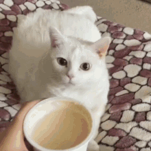 Annoying Sounds (17 gifs) Annoying Sounds (17 gifs)
