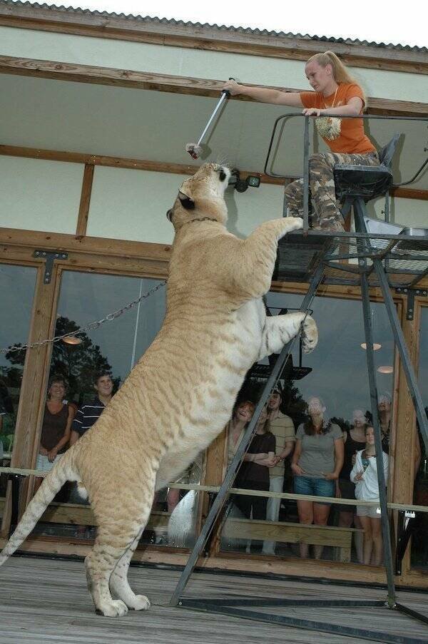What Is Going On Here? (28 pics)