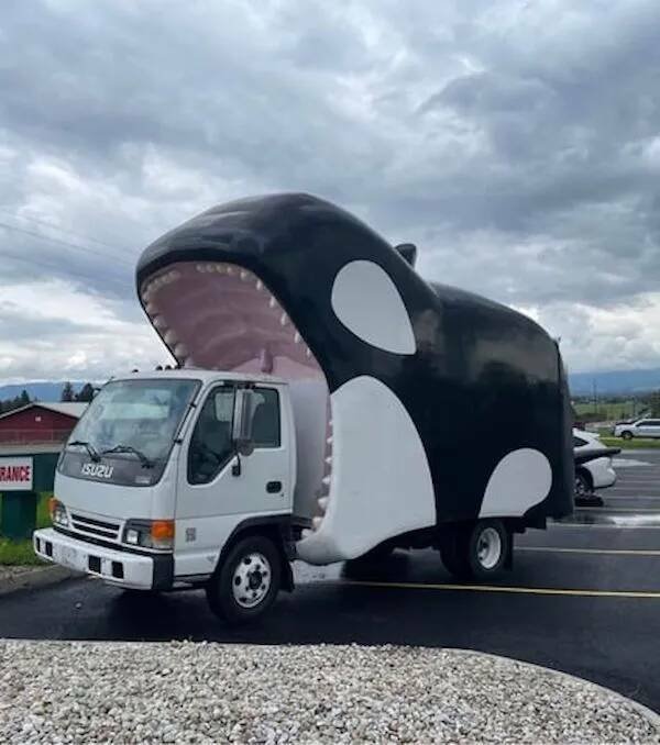 Crazy Vehicles (27 pics)