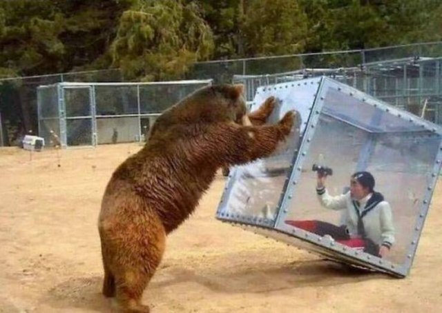 What Is Going On Here? (28 pics)