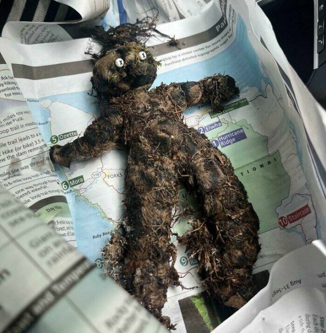 Creepy Finds In The Forest (26 pics)