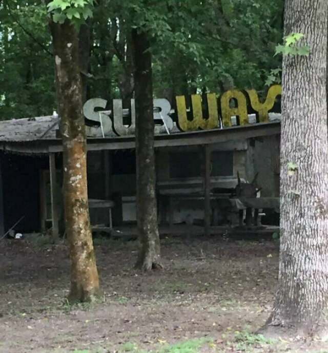 Creepy Finds In The Forest (26 pics)