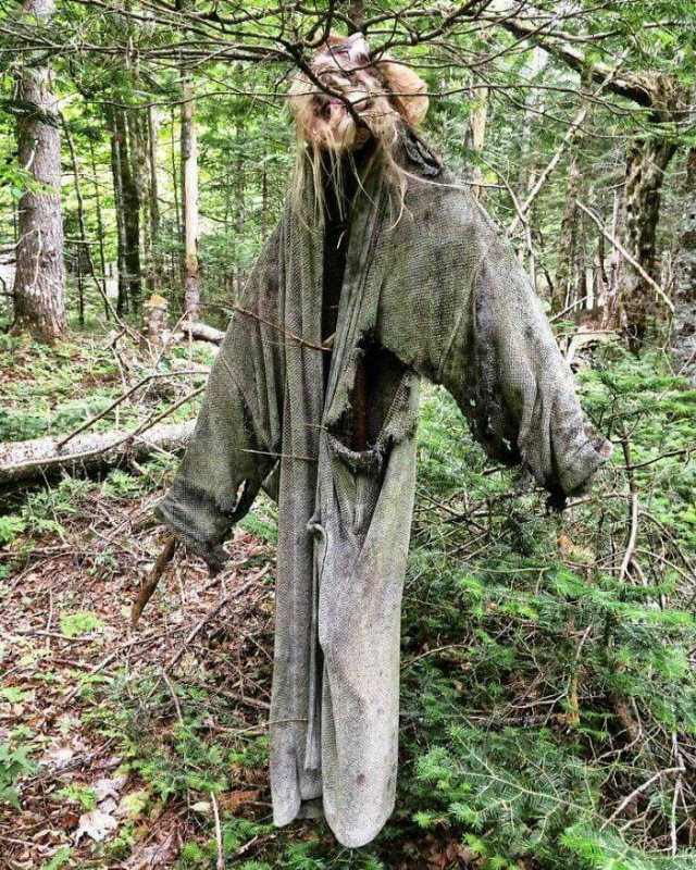 Creepy Finds In The Forest (26 pics)