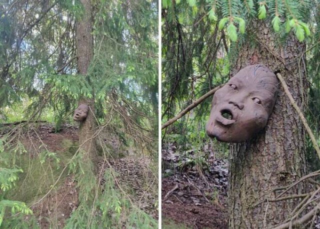 Creepy Finds In The Forest (26 pics)