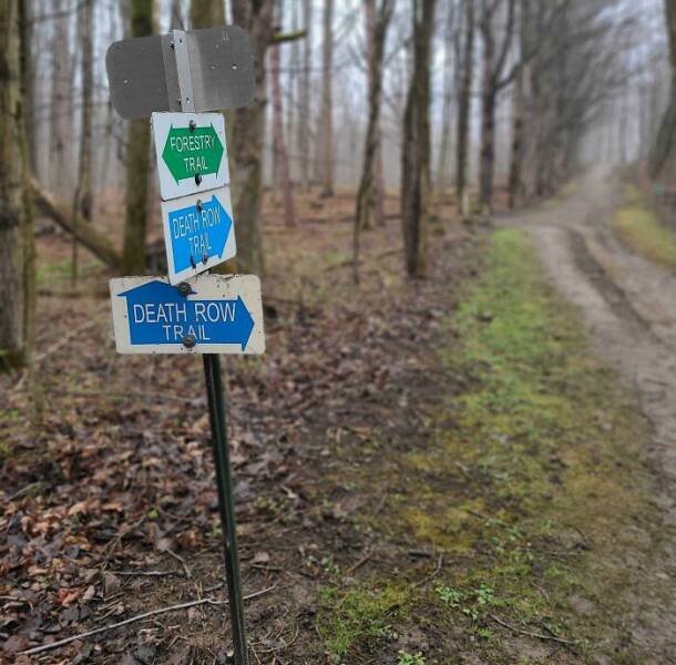 Creepy Finds In The Forest (26 pics)