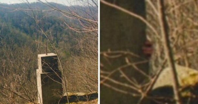 Creepy Finds In The Forest (26 pics)