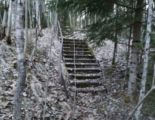 Creepy Finds In The Forest (26 pics)
