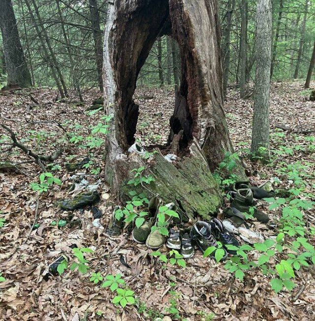 Creepy Finds In The Forest (26 pics)