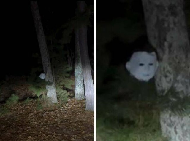 Creepy Finds In The Forest (26 pics)