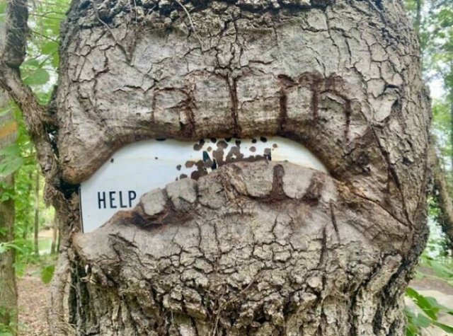 Creepy Finds In The Forest (26 pics)