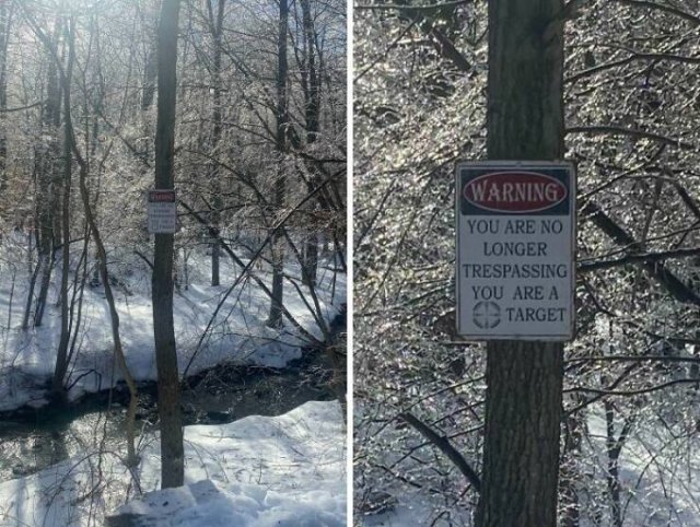 Creepy Finds In The Forest (26 pics)