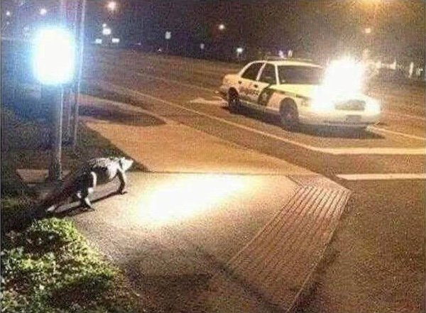 Bad Days Happen (31 pics)