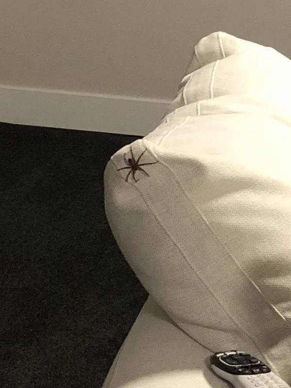What Is Going On Here? (31 pics)