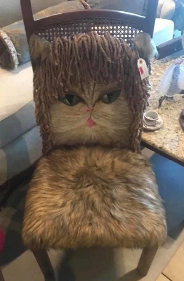 Weird Finds In Thrift Shops (34 pics)